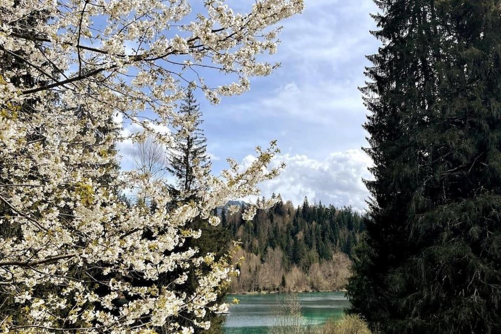 Wohnung Mit Fantastischer Aussicht Trin Εξωτερικό φωτογραφία